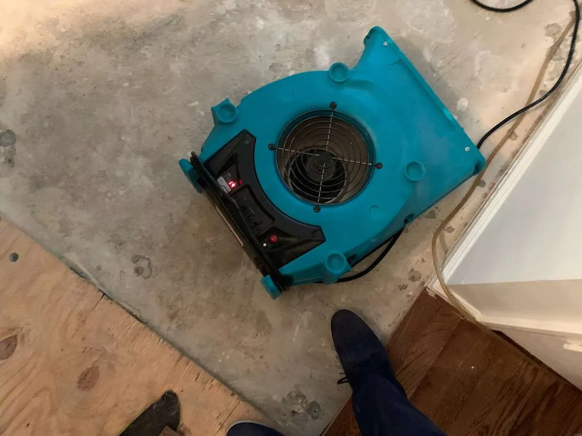 Air mover drying subfloor during Commercial Water Damage Restoration in Wilson